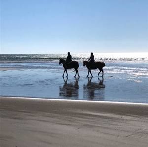 Meet your Posher, Nancy